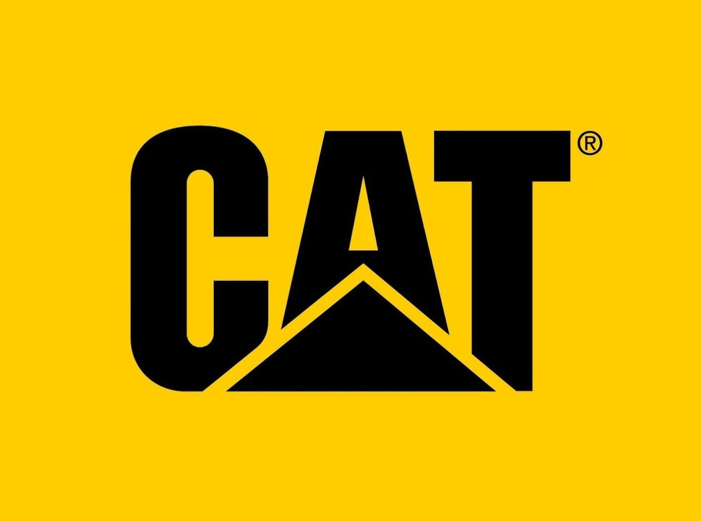 NUEVA COLECCIÓN CAT INTRUDER 💥